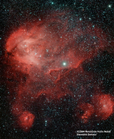 IC2944 Rennende Huhn Nebel